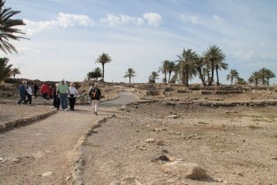 Tel Megiddo National Park. Click for full size. Tel Megiddo National Park image. Click for full size.