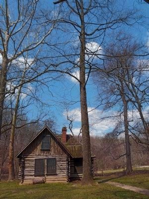 Tupelo Tree and the Joaquin Miller Cabin. Click for full size. Tupelo Tree and the Joaquin Miller Cabin image. Click for full size.
