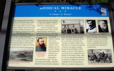 Medical Miracle Marker image. Click for full size.