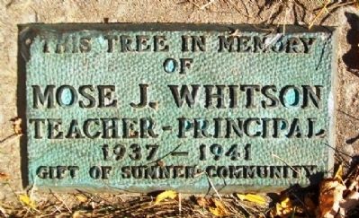 Sumner School Whitson Marker image. Click for full size.
