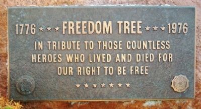 Freedom Tree Marker. Click for full size. Freedom Tree Marker image. Click for full size.