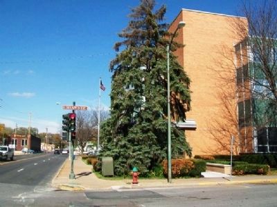 Freedom Tree (Evergreen) at US Post Office. Click for full size. Freedom Tree (Evergreen) at US Post Office image. Click for full size.