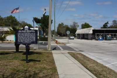 The Village Improvement Association Woman's Club Marker, looking north on Palmetto Avenue image. Click for full size.