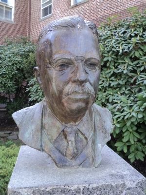 Closeup of Theodore Roosevelt Bust image. Click for full size.