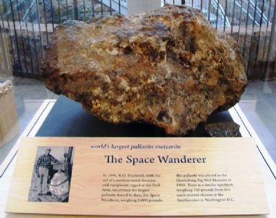 World's Largest Pallasite Meteorite image. Click for full size.