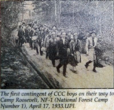 First Contingent. Click for full size. First Contingent image. Click for full size.