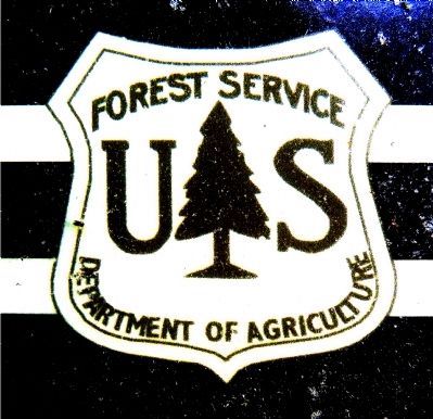 US Forest Service, Department of Agriculture image. Click for full size.