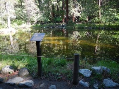 The Ahwahnee Porte Cochere Marker. Click for full size. The Ahwahnee Porte Cochere Marker image. Click for full size.