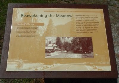 Reawakening the Meadow Marker. Click for full size. Reawakening the Meadow Marker image. Click for full size.