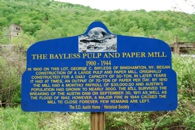 The Bayless Pulp and Paper Mill Marker image. Click for full size.