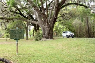 Newnansville Town Site Marker seen along Florida Route 235 image. Click for full size.