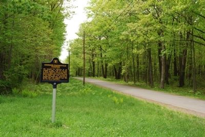 Snowshoe/Packersville Turnpike Marker. Click for full size. Snowshoe/Packersville Turnpike Marker image. Click for full size.
