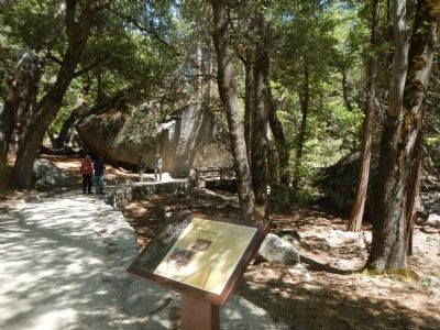 John Muir... The Woodcutter Marker. Click for full size. John Muir... The Woodcutter Marker image. Click for full size.