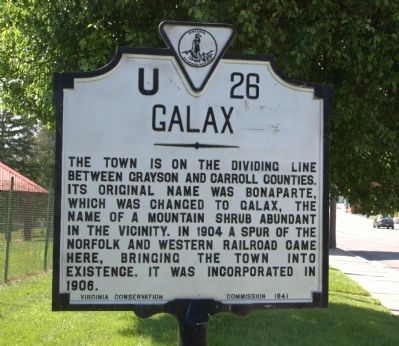Galax Marker image. Click for full size.