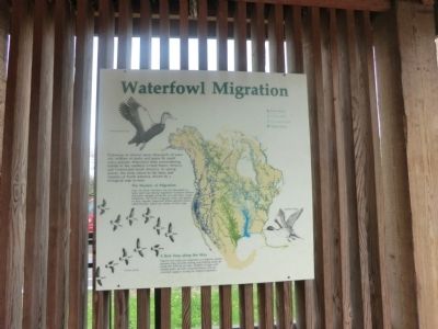 Waterfowl Migration Marker image. Click for full size.