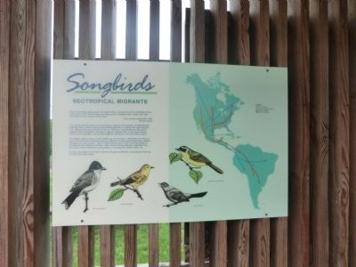 Songbirds Marker. Click for full size. Songbirds Marker image. Click for full size.