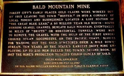 Bald Mountain Mine Marker image. Click for full size.