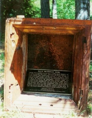 Bald Mountain Mine Marker image. Click for full size.
