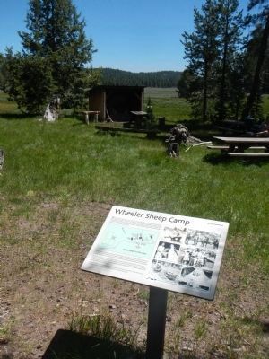 Wheeler Sheep Camp image. Click for full size.