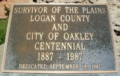 Survivor of the Plains Marker. Click for full size. Survivor of the Plains Marker image. Click for full size.