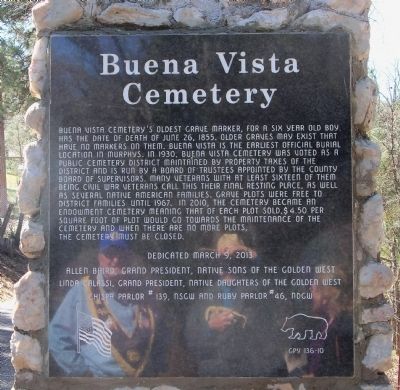 Buena Vista Cemetery Marker image. Click for full size.