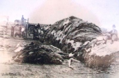 Photo on The Smoky Hill River Valley - Buffalo Country Marker. Click for full size. Photo on The Smoky Hill River Valley - Buffalo Country Marker image. Click for full size.
