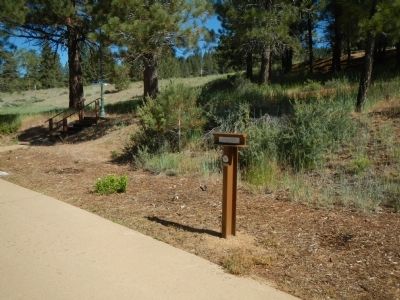 Beckwourth Trail – The Road Forks Marker image. Click for full size.