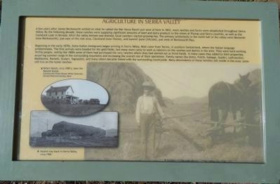 Agriculture in Sierra Valley Panel 1 image. Click for full size.