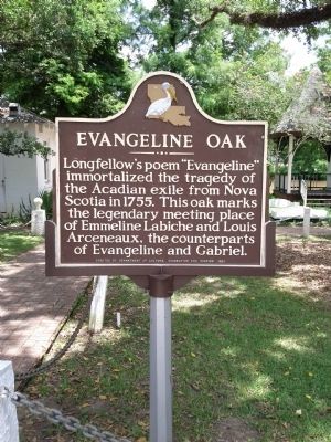 Evangeline Oak Marker image. Click for full size.