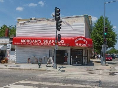 Morgan's Seafood image. Click for full size.