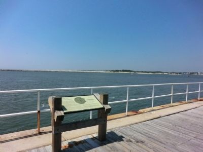 The Horseshoe Crab Marker image. Click for full size.