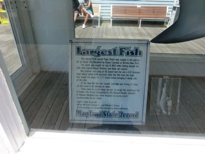 Largest Fish Marker image. Click for full size.