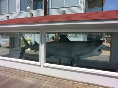 Largest Fish Marker image. Click for full size.