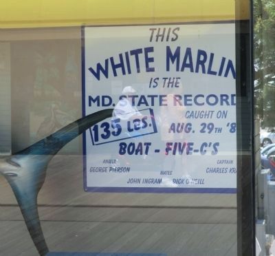 "The White Marlin Capital of the World" Marker image. Click for full size.