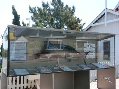 "The White Marlin Capital of the World" Marker. Click for full size. "The White Marlin Capital of the World" Marker image. Click for full size.
