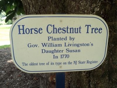 Horse Chestnut Tree Marker image. Click for full size.