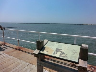 Birds of the Shore Marker image. Click for full size.