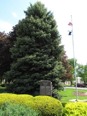 Branch County Korean and Vietnam Wars Memorial. Click for full size. Branch County Korean and Vietnam Wars Memorial image. Click for full size.
