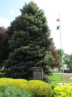Branch County Korean and Vietnam Wars Memorial image. Click for full size.