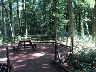 Marker on the Victory Woods Trail. Click for full size. Marker on the Victory Woods Trail image. Click for full size.