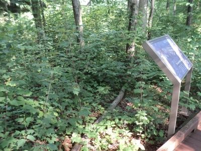 The Last Ditch Defenses Marker. Click for full size. The Last Ditch Defenses Marker image. Click for full size.