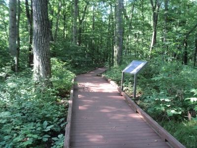 Marker on the Victory Woods Trail. Click for full size. Marker on the Victory Woods Trail image. Click for full size.