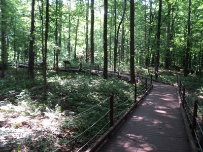 A Good Place to Set Up Camp Marker. Click for full size. A Good Place to Set Up Camp Marker image. Click for full size.