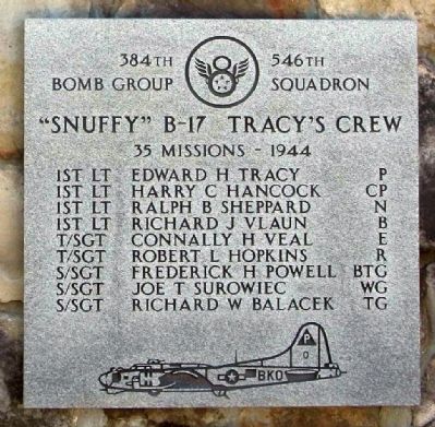 384th Bombardment Group 546th Squadron image. Click for full size.