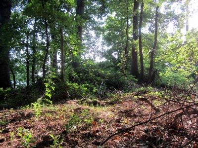 Confederate Earthworks. Click for full size. Confederate Earthworks image. Click for full size.
