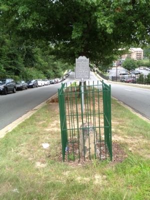 Southwest No. 6 Boundary Stone and Marker image. Click for full size.