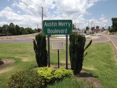 Austin Raymond Merry Boulevard & Marker image. Click for full size.