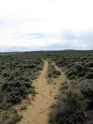 Oregon Trail. Click for full size. Oregon Trail image. Click for full size.