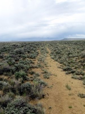 Oregon Trail. Click for full size. Oregon Trail image. Click for full size.
