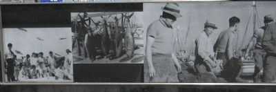 <i>Panel 6</i>. Click for full size. <i>Panel 6</i> image. Click for full size.